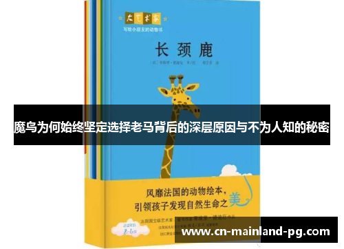 魔鸟为何始终坚定选择老马背后的深层原因与不为人知的秘密