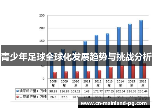 青少年足球全球化发展趋势与挑战分析