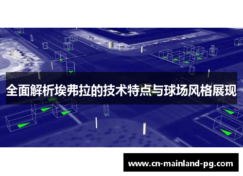 全面解析埃弗拉的技术特点与球场风格展现 全面解析埃弗拉的技术特点与球场风格展现