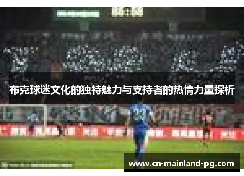 布克球迷文化的独特魅力与支持者的热情力量探析